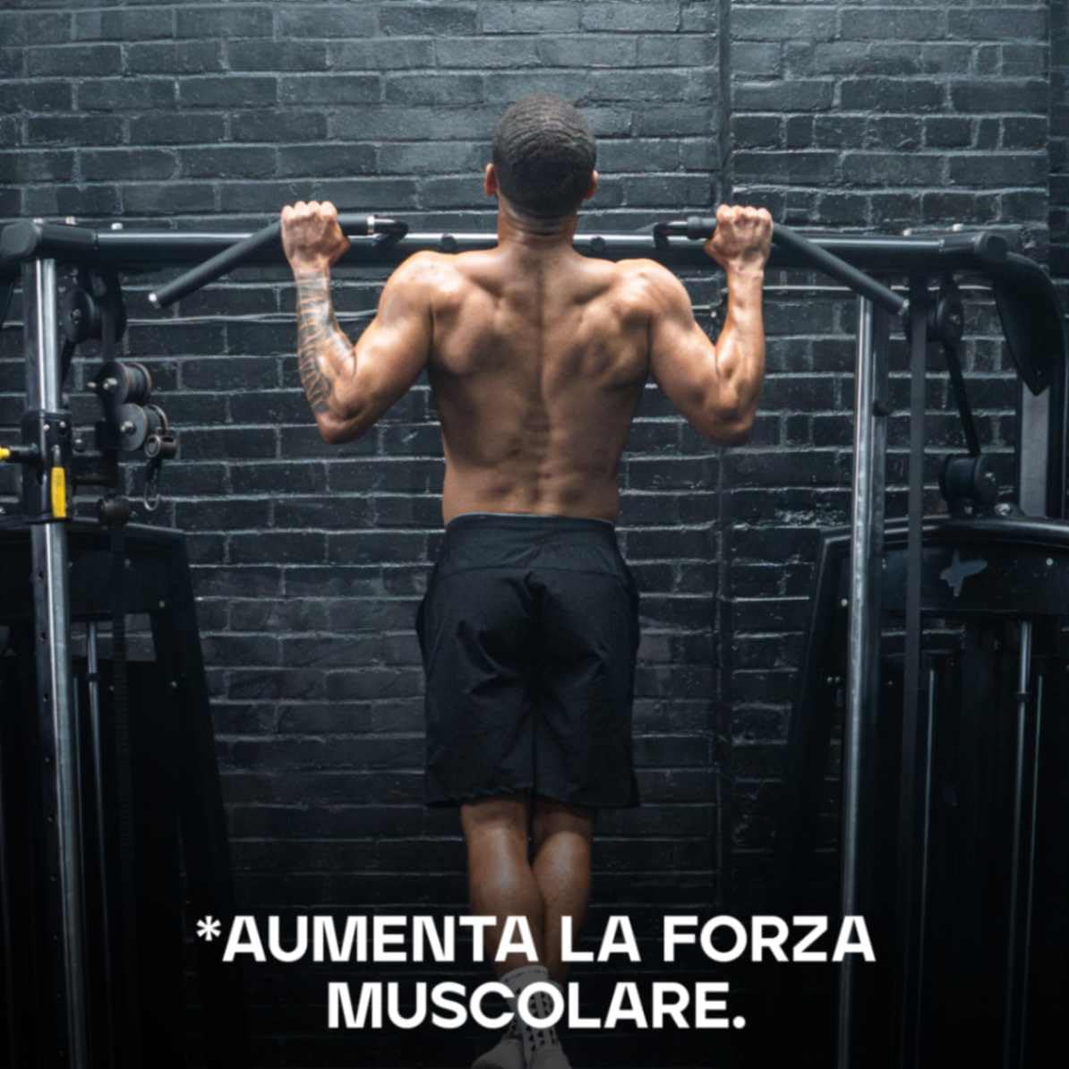 Bulk Creatina Monoidrato Polvere 500 g | 147 porzioni | Creatina micronizzata pura | Frutti di bosco | Vegano e Halal | Ideale per fitness, allenamento e palestra | Si scioglie facilmente