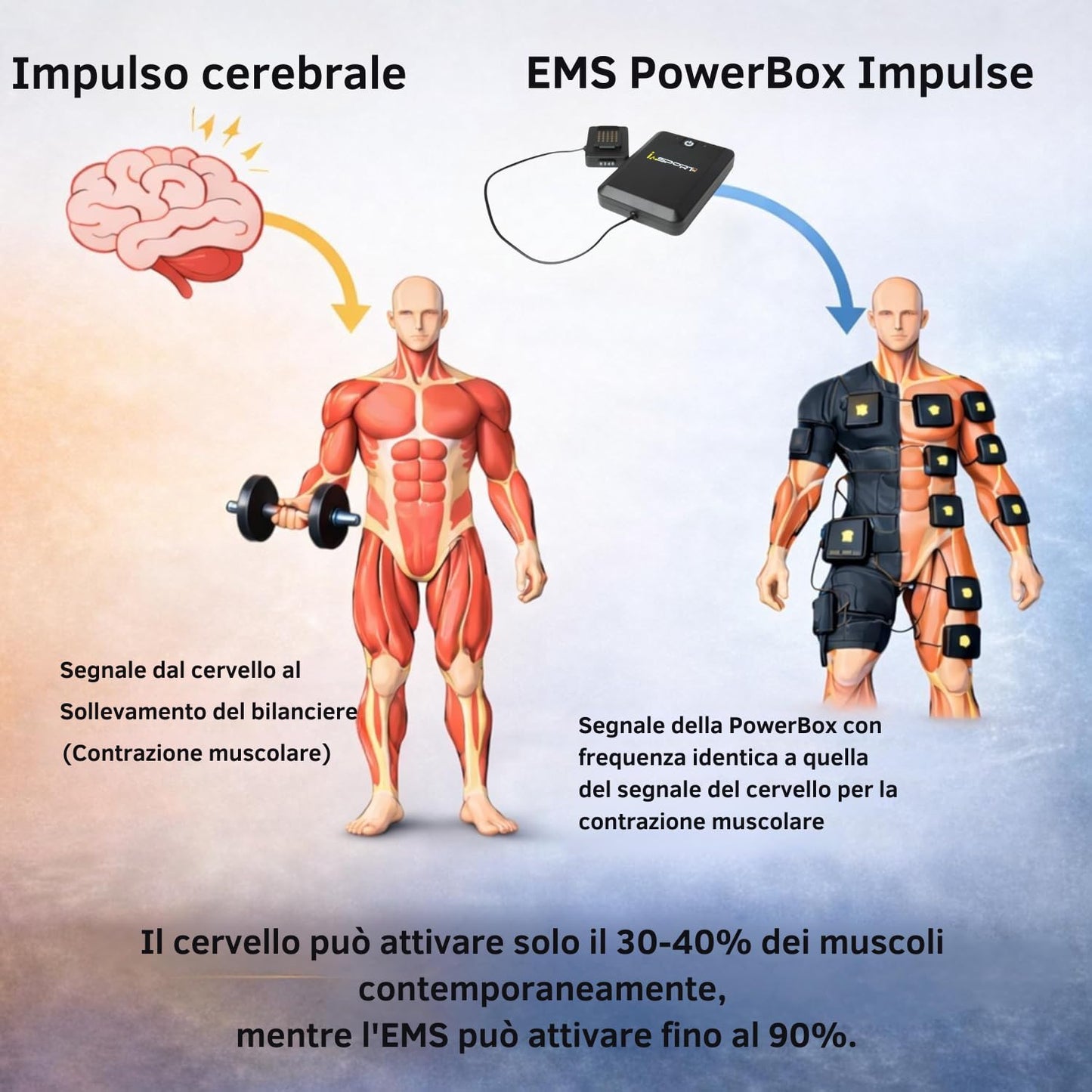 Its-Me Tuta I-Sport EMS 2 Pezzi con 32 elettrodi, novità Mondiale, Powerbox e Tablet Inclusi, Allenamento EMS Tramite App per Sviluppo Muscolare e Cardio, Materiale Tuta Innovativo (XL)