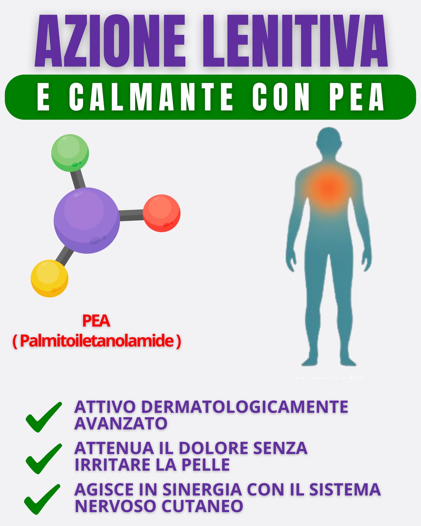 VANTHEX Crema Riscaldante Muscoli Sportiva 500 ML, Arnica Gel Forte Effetto Caldo, Balsamo Cavallo Riscaldante, Pomata Antinfiammatoria Forte, Crema Dolori Muscolari e Articolari Effetto Termico